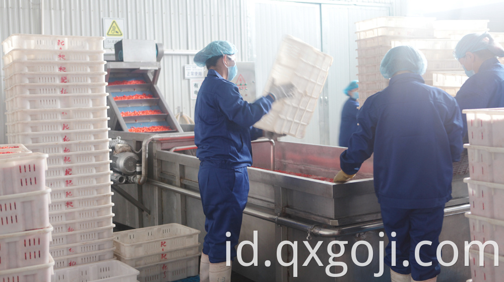 GMP Factory Supply Goji Juice